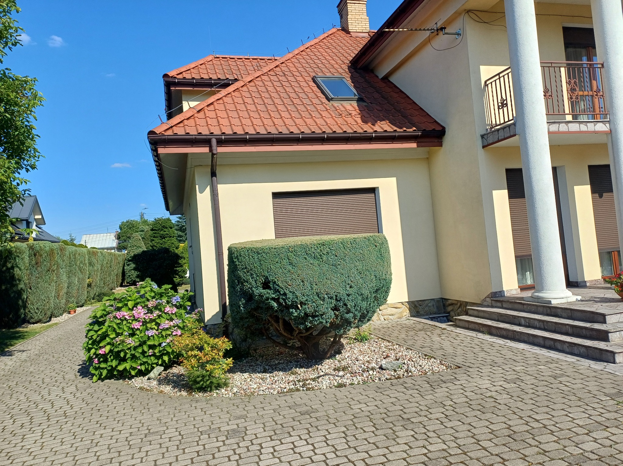 Kadr z ogrodu: przycięty krzew w kształcie sześcianu, ścieżka z kostki brukowej, kwitnące hortensje i zadbany żywopłot na tle domu z beżową elewacją i czerwoną dachówką.