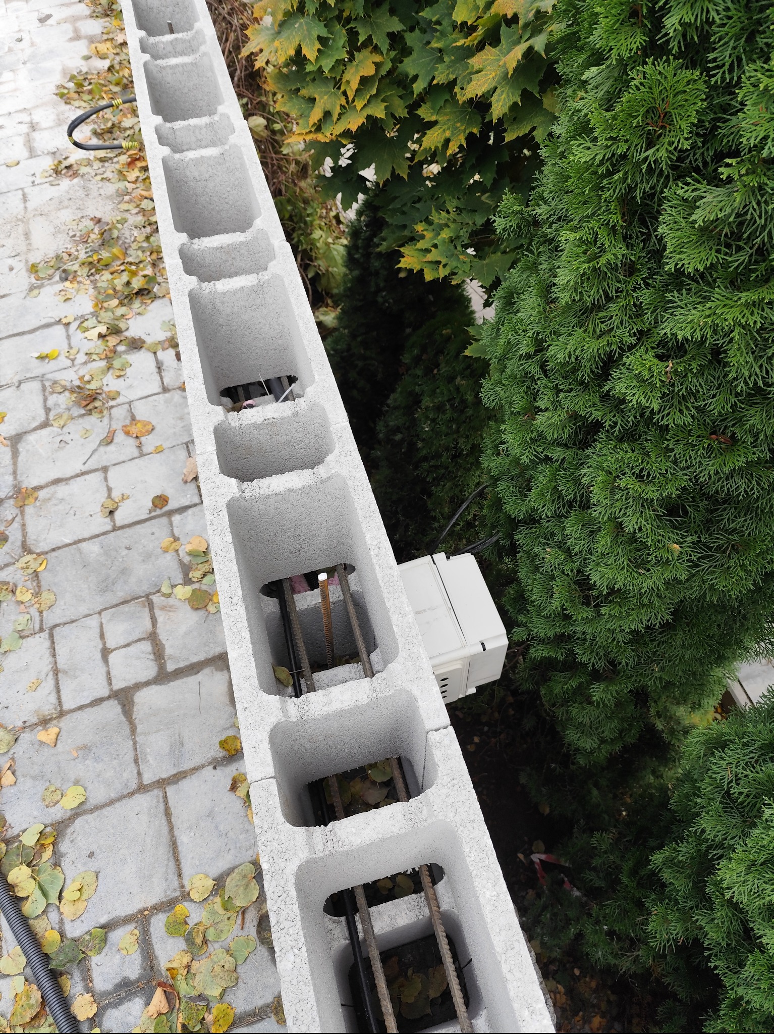 Betonowy murek z otworami, zbrojenie wewnątrz, obok zielone tuje i kostka brukowa z liśćmi. Widoczna puszka elektryczna. Ujęcie z góry.