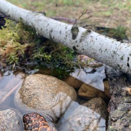 Z nami będzie pięknie!