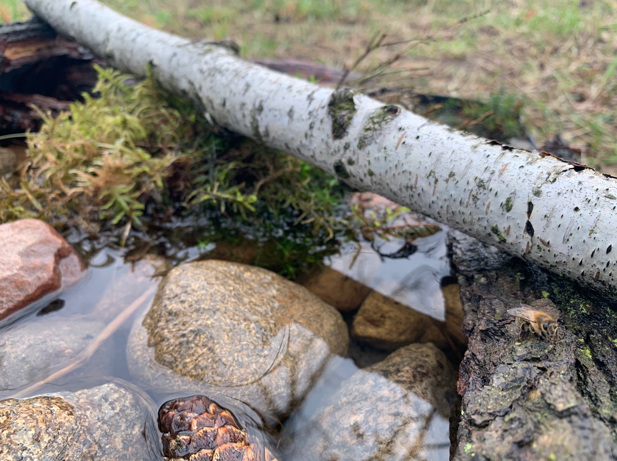 Z nami będzie pięknie!