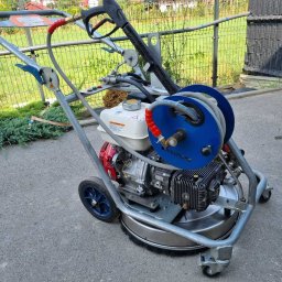 Wycinka drzew Kraków 3