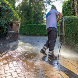 Wycinka drzew Kraków 1