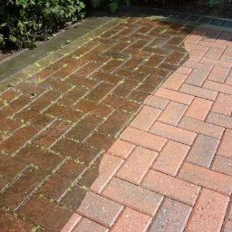 Wycinka drzew Kraków 4