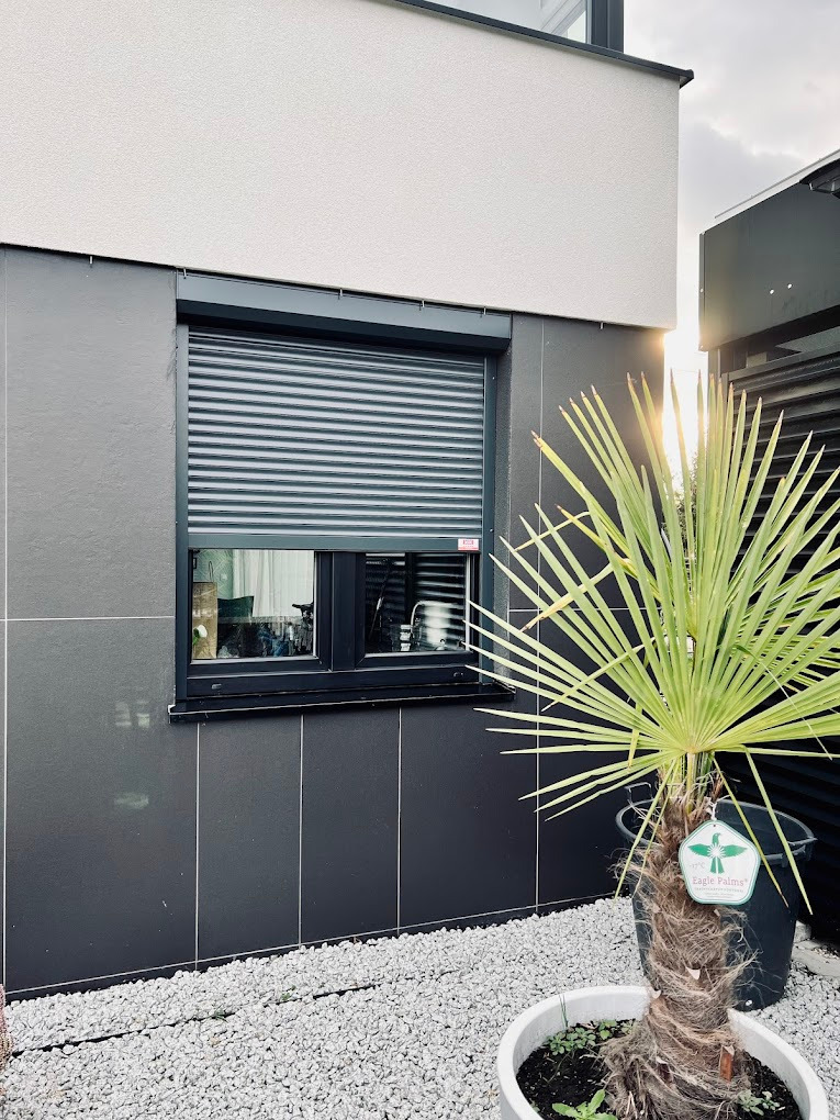 Elegancka, grafitowa roleta zewnętrzna zamontowana w oknie nowoczesnego domu z szarą elewacją. W tle widoczna palma w donicy i biały żwir.