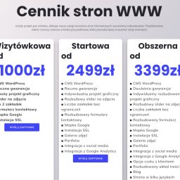 Naprawa komputerów Tłuszcz 1