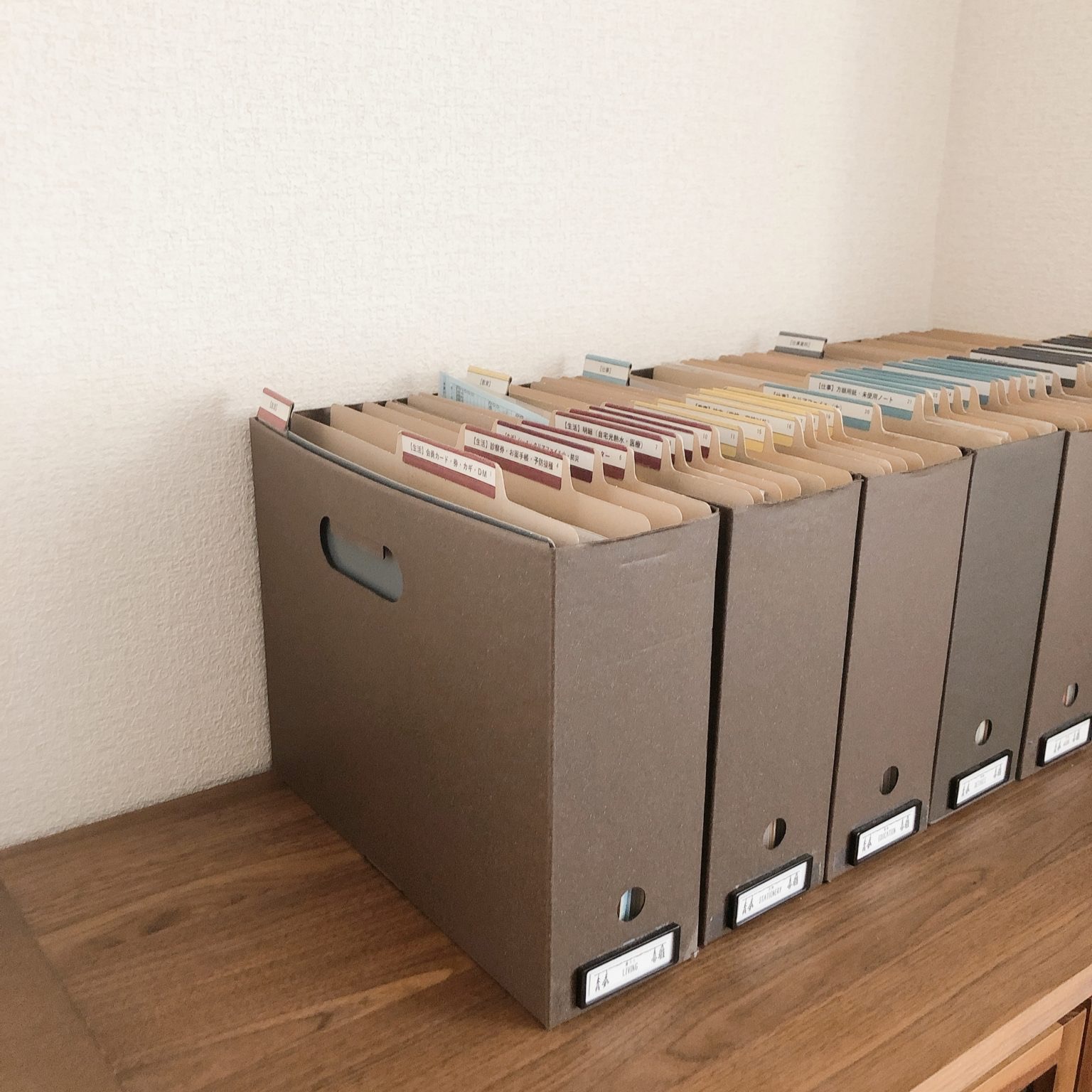 Rzędy segregatorów z dokumentami na drewnianej półce, etykiety z opisami na każdym segregatorze, uporządkowane archiwum biurowe.