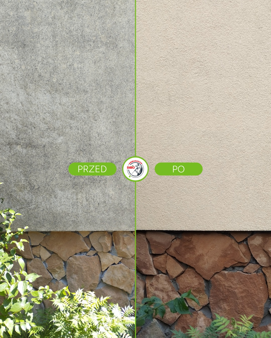 Elewacja budynku: porównanie stanu przed i po czyszczeniu, z widoczną różnicą w kolorze i czystości powierzchni, kamienna podmurówka, zieleń w dolnej części kadru.