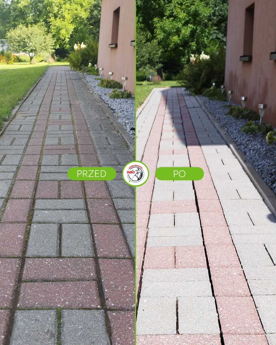 Kostka brukowa przed i po czyszczeniu, widoczne różnice w kolorze i czystości, zieleń w spoinach usunięta, jasne i wyraźne ujęcie w słoneczny dzień.