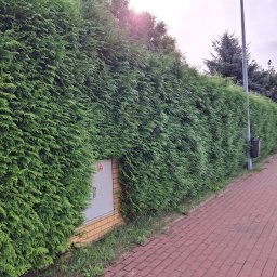 Koszenie trawy Kołobrzeg 3