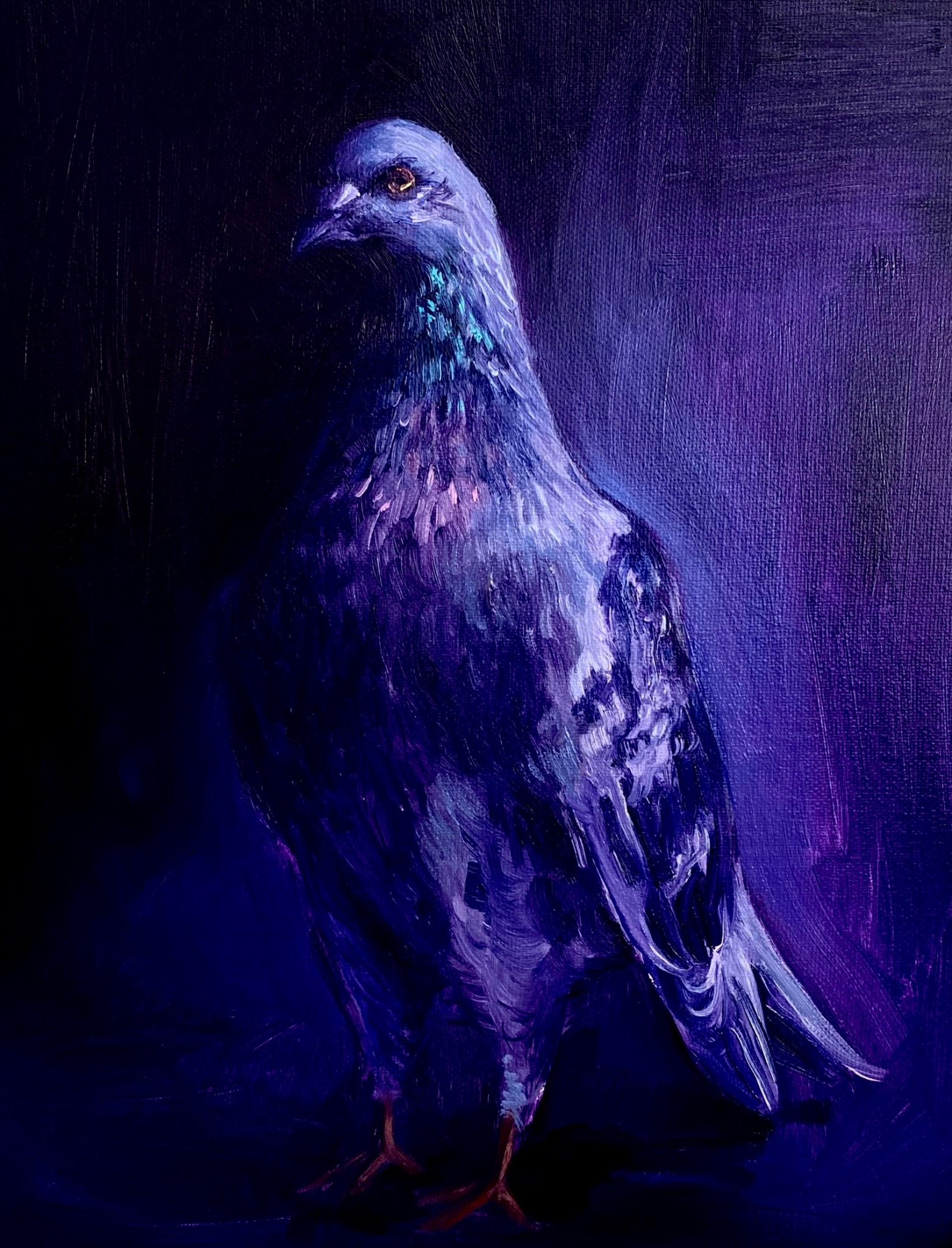 Olejny portret gołębia w odcieniach fioletu i granatu, z widoczną fakturą pociągnięć pędzla na płótnie. Realistyczne odwzorowanie detali upierzenia ptaka.