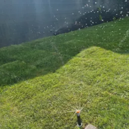 Automatyczny system nawadniania trawnika w ogrodzie z czarną siatką cieniującą w tle. Woda rozpryskiwana przez dyszę zraszającą. Słońce oświetla trawnik.