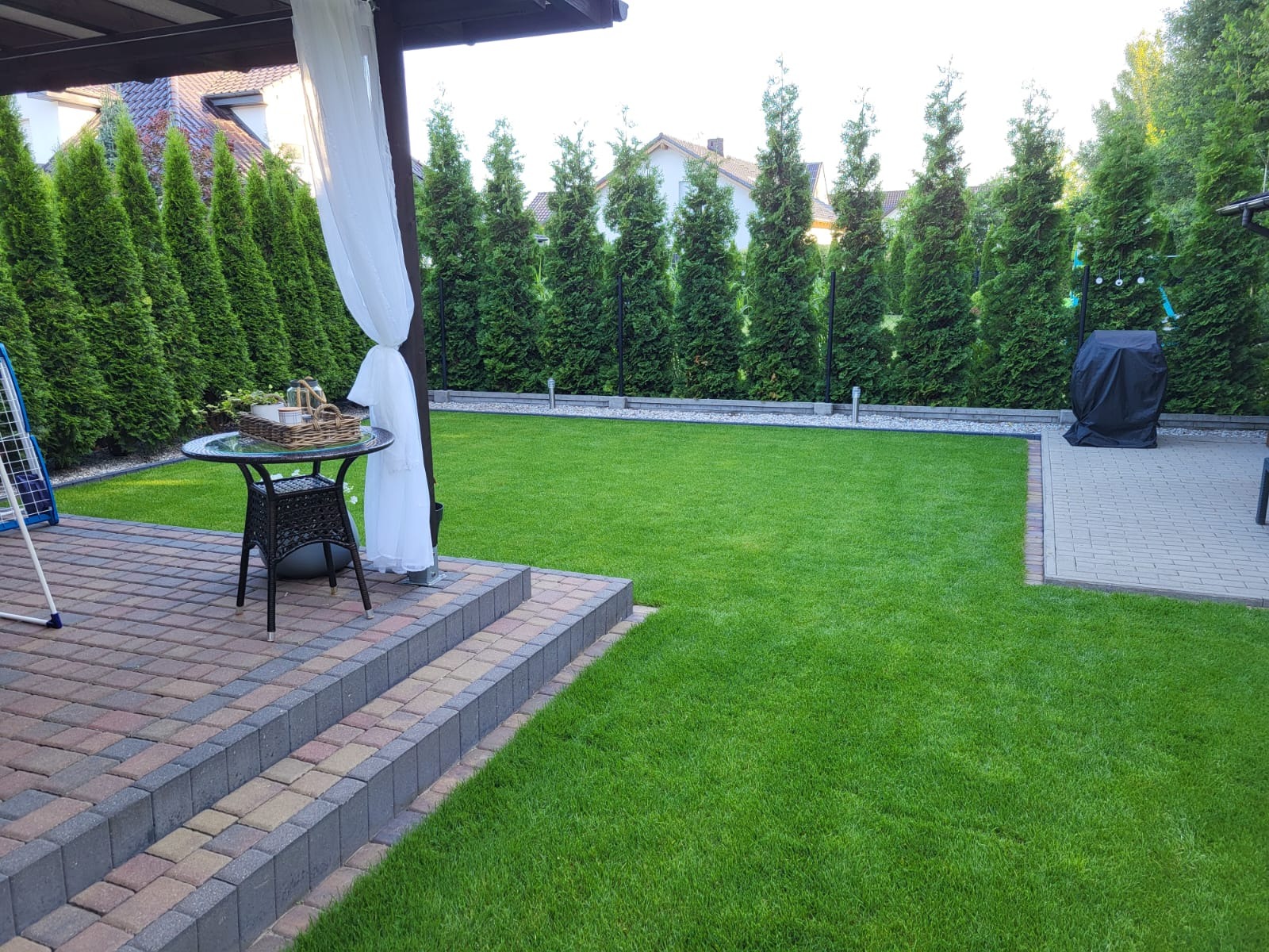 Zadbany trawnik z rolki otoczony tujami, widok z tarasu z meblami ogrodowymi. Idealna, gęsta darń i równo przycięta zieleń. Tło stanowią wysokie tuje.
