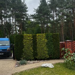 Sprzątanie mieszkań Białystok 1