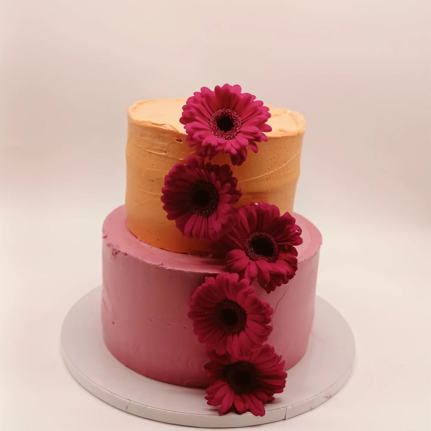 Dwupoziomowy tort z kremem w odcieniach różu i pomarańczy, zdobiony bordowymi gerberami, na białym tle. Widoczne delikatne tekstury kremu.