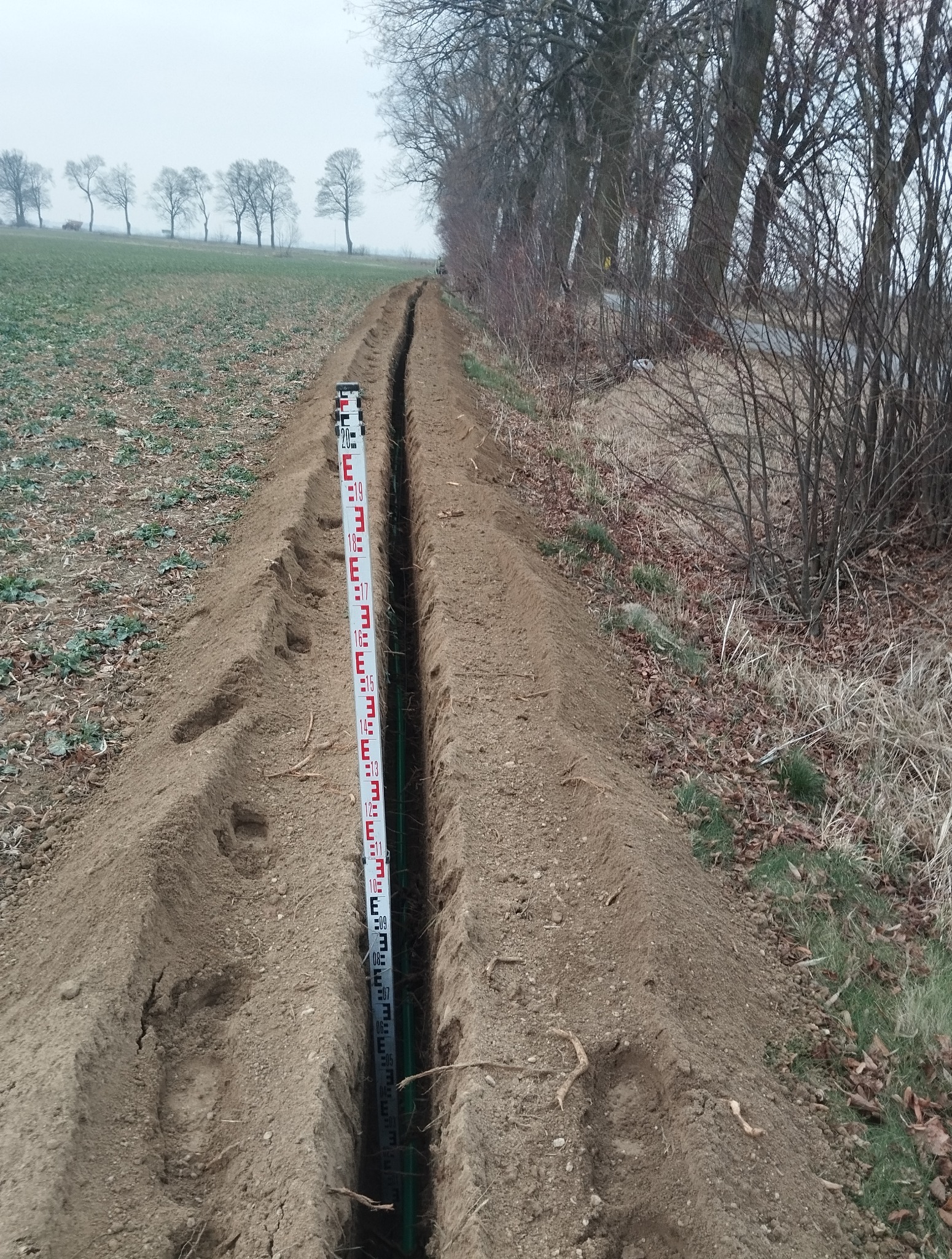 Wąski wykop w ziemi z pionowo ustawioną łatą niwelacyjną. W tle pole i rząd drzew. Prace ziemne w pochmurny dzień, widoczne ślady pracy maszyn.