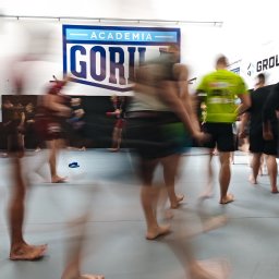 Sporty walki, treningi Toruń 3