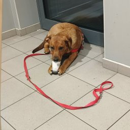 Pluto - Transport Dostawczy Żory