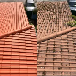 Dachówka ceramiczna: po lewej świeżo pomalowana na ceglasty kolor, po prawej porośnięta mchem i zabrudzona. Widok z góry, efekt przed i po renowacji.