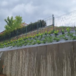 Damian Popławski - Skarpa zabezpieczona murem oporowym i agrowłókniną, obsadzona młodymi roślinami. W tle siatka ogrodzeniowa i zieleń. Na murze oporowym oparta drabina.