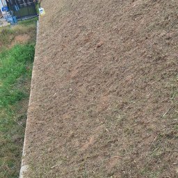 Damian Popławski - Świeżo skoszona trawa na zboczu z siatką ogrodzeniową w tle. Widoczne domy i drzewa. Częściowo widoczny trawnik z dłuższą trawą.