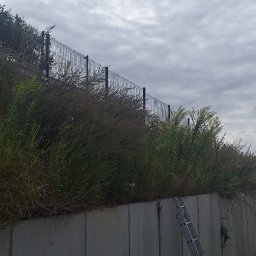 Damian Popławski - Usługi w ogrodzie Pruszcz Gdański