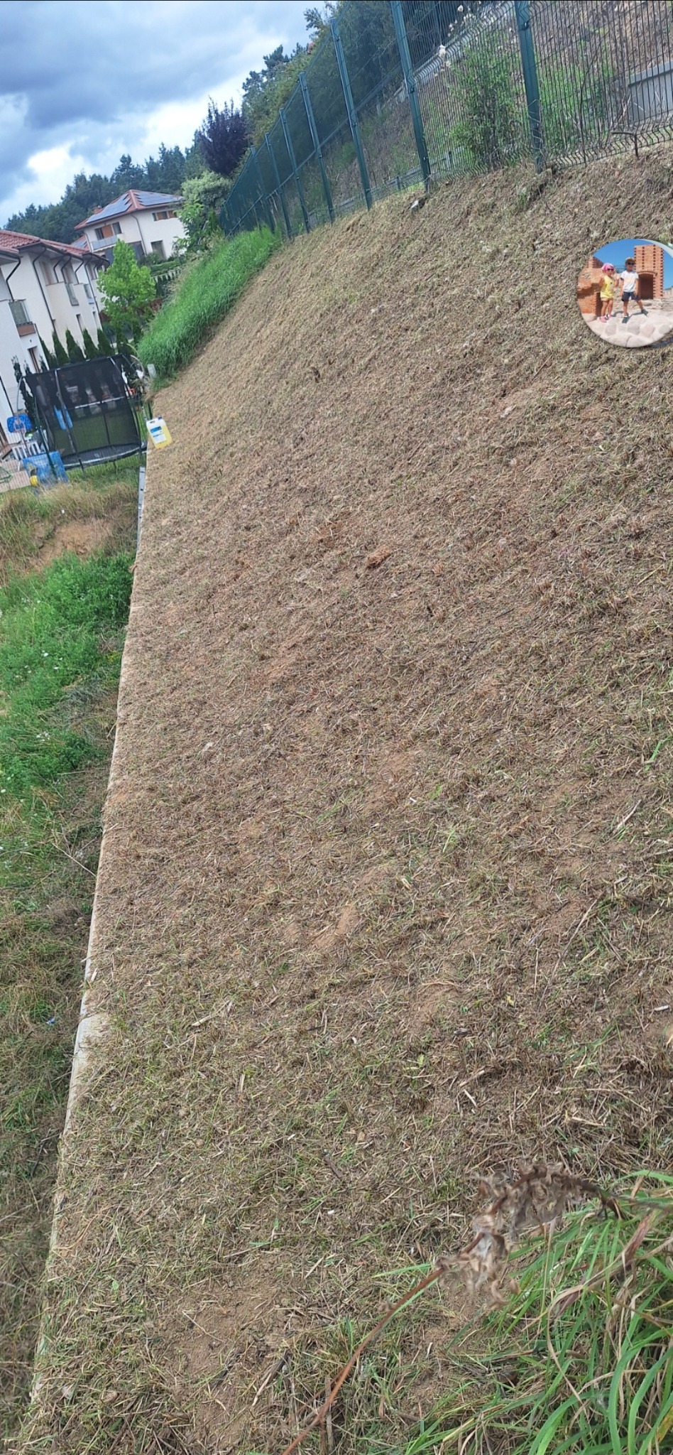 Świeżo skoszona trawa na zboczu z siatką ogrodzeniową w tle. Widoczne domy i drzewa. Częściowo widoczny trawnik z dłuższą trawą.