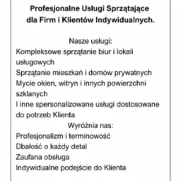 Oferta Business Clean: profesjonalne usługi sprzątające dla firm i klientów indywidualnych. Kompleksowe sprzątanie biur, mieszkań, mycie okien i inne usługi.