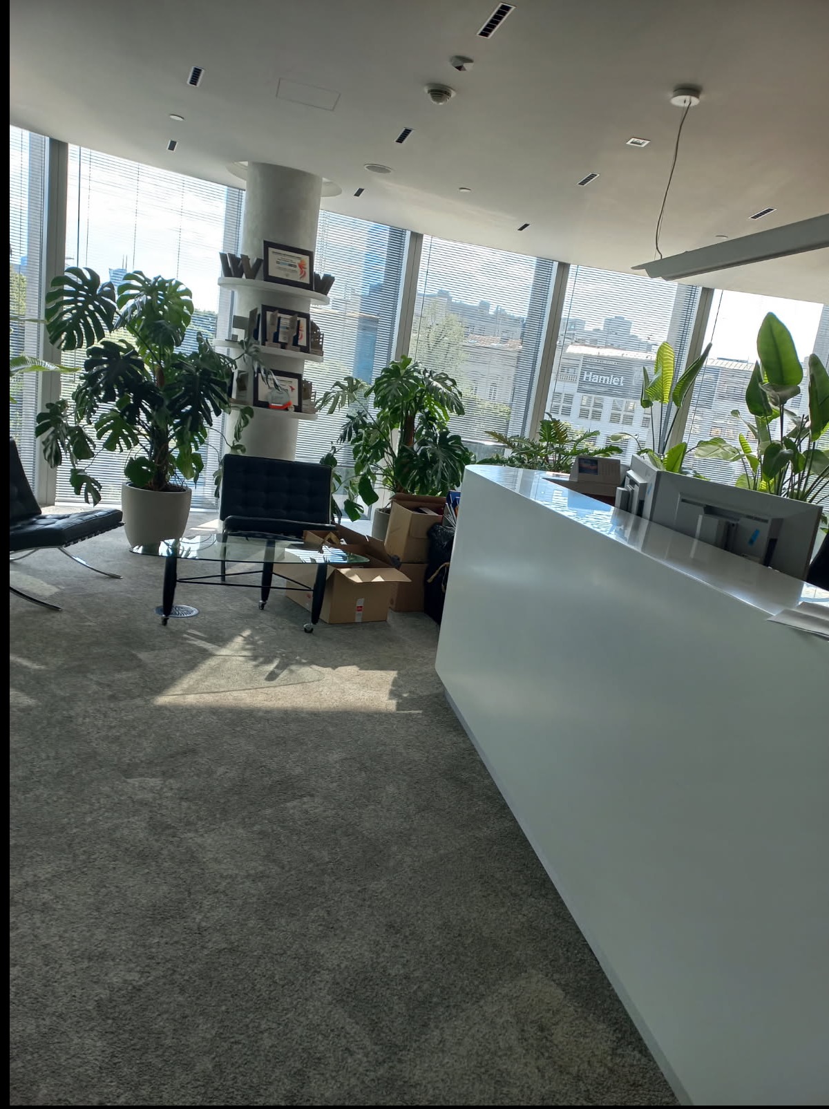 Jasne biuro z recepcją, roślinami doniczkowymi, szklanym stolikiem i fotelami. Widok na miasto przez okna z żaluzjami. Kartony leżące na podłodze.