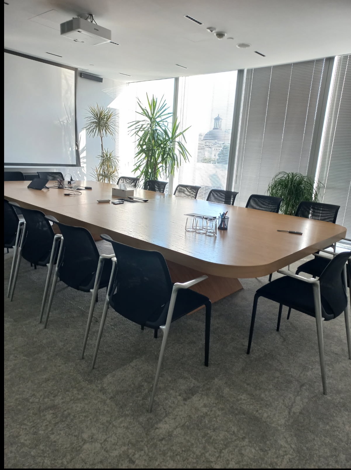 Jasna sala konferencyjna z długim stołem z drewna, czarnymi krzesłami i roślinami doniczkowymi przy oknach z żaluzjami. Projektor na suficie, ekran projekcyjny po lewej.