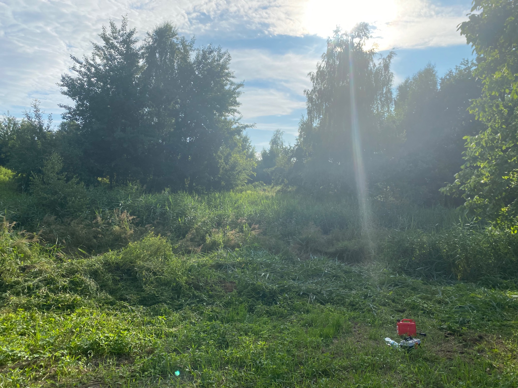 Po koszeniu: świeżo skoszona trawa na łące, w tle drzewa i jasne niebo. Czerwony kanister i kosiarka leżą na ziemi. Słoneczny dzień.