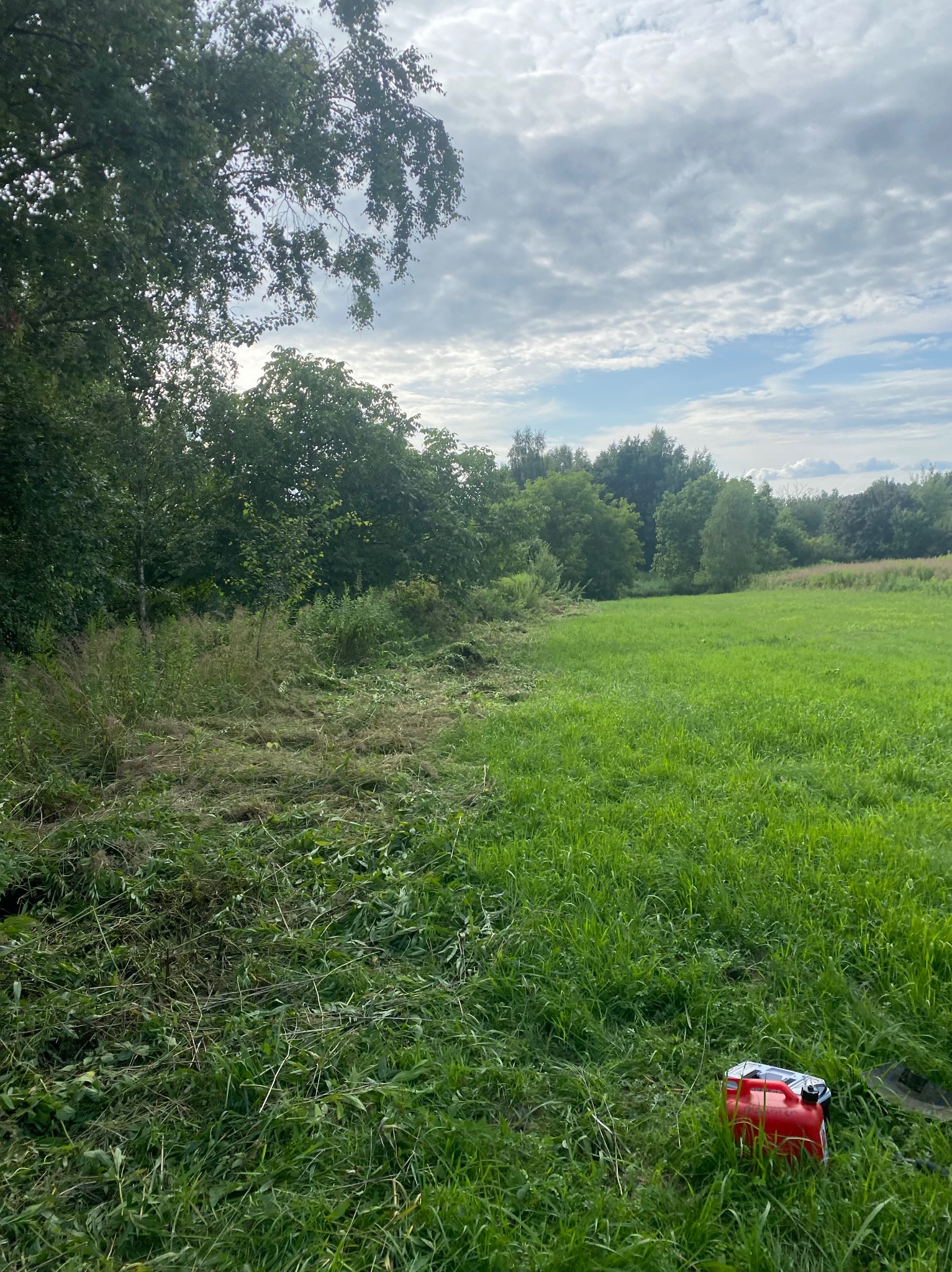 Połowa łąki skoszona, druga w zieleni, z kanistrem w trawie. Widok na drzewa i niebo. Efekt koszenia z bliska, ukazujący różnicę wysokości trawy.