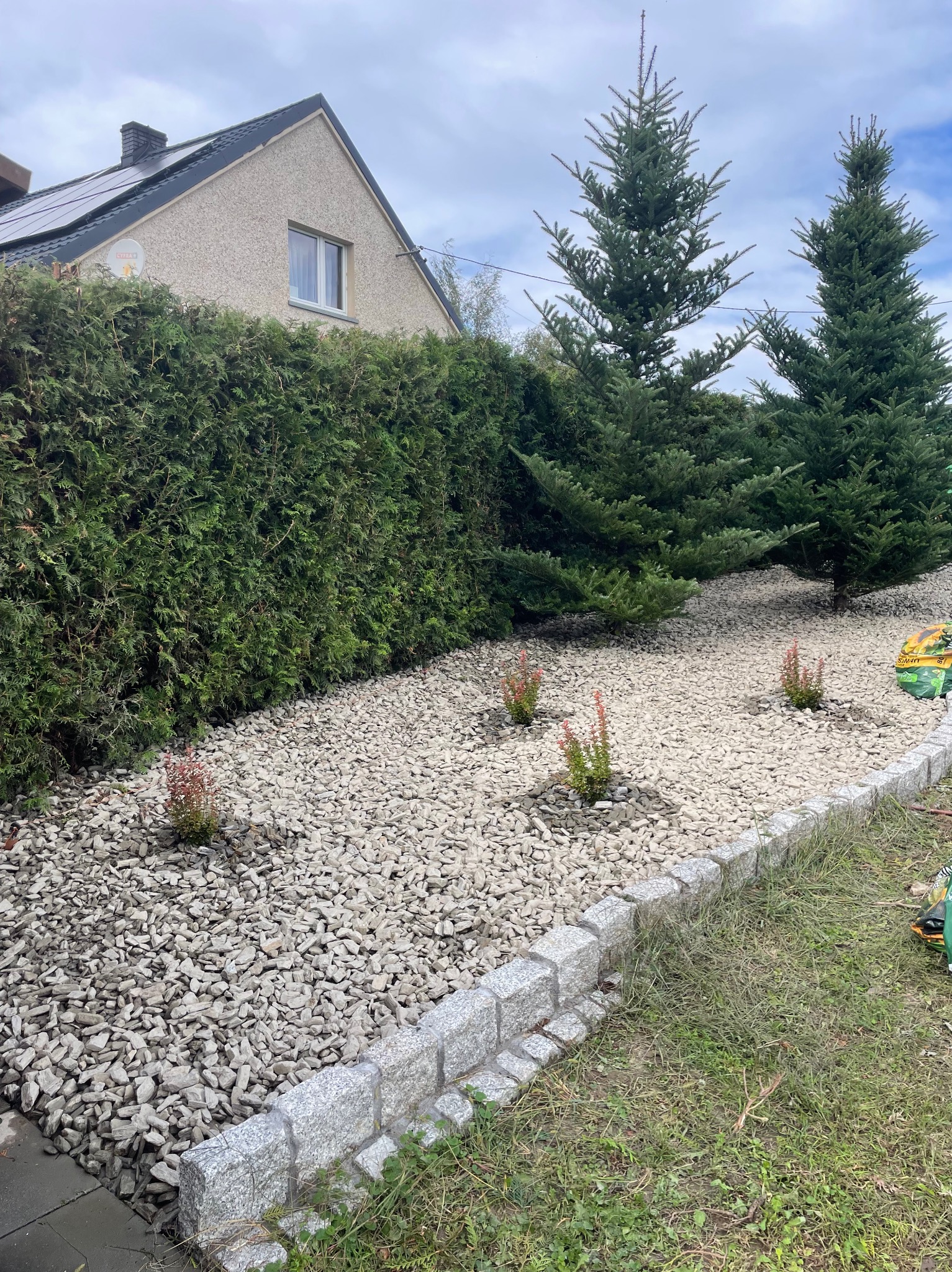 Ogród po metamorfozie: kamienny żwir, obrzeża z kostki granitowej, młode krzewy i iglaki. Tło stanowi zielony żywopłot i dom z panelami słonecznymi.