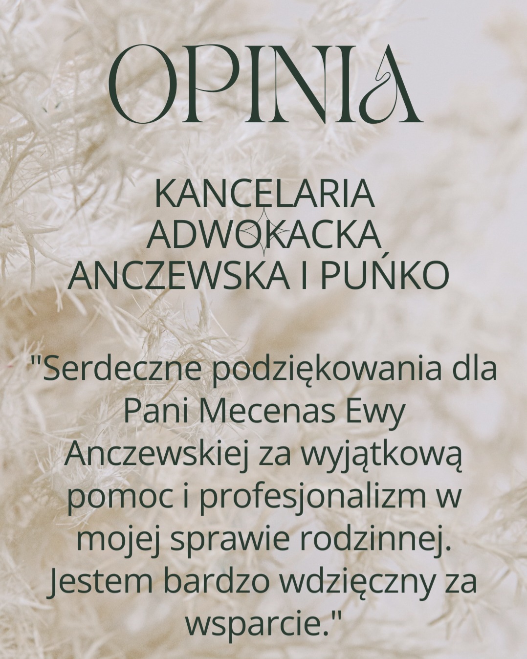 Elegancka grafika z tekstem opinii o Kancelarii Adwokackiej Anczewska i Puńko, z podziękowaniami za pomoc w sprawie rodzinnej, na tle delikatnych puszystych traw.