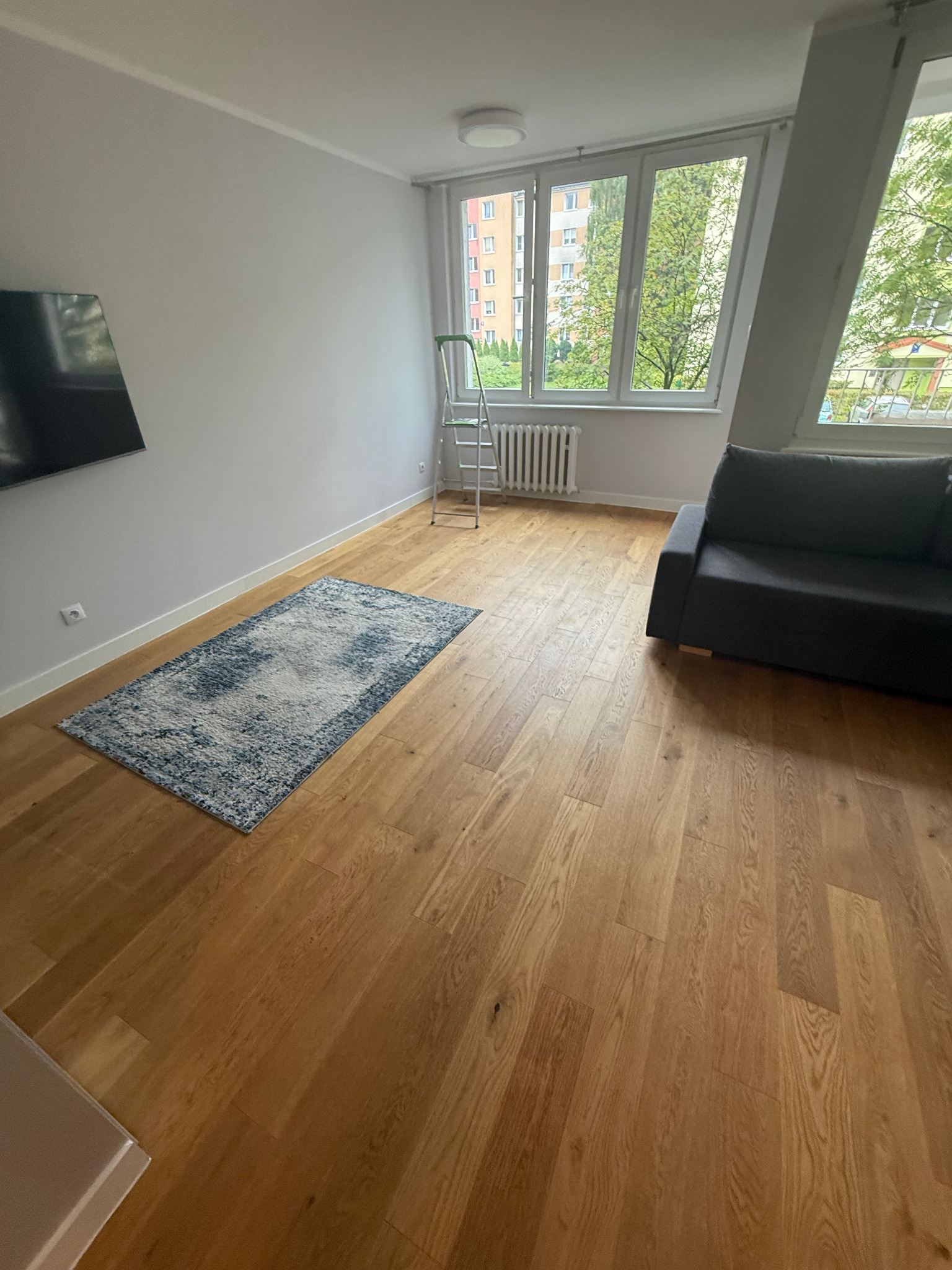 Wnętrze pokoju po remoncie: jasna podłoga, dywan w odcieniach niebieskiego, sofa i drabina oparta o ścianę przy oknie. Widok na zieleń za oknem.