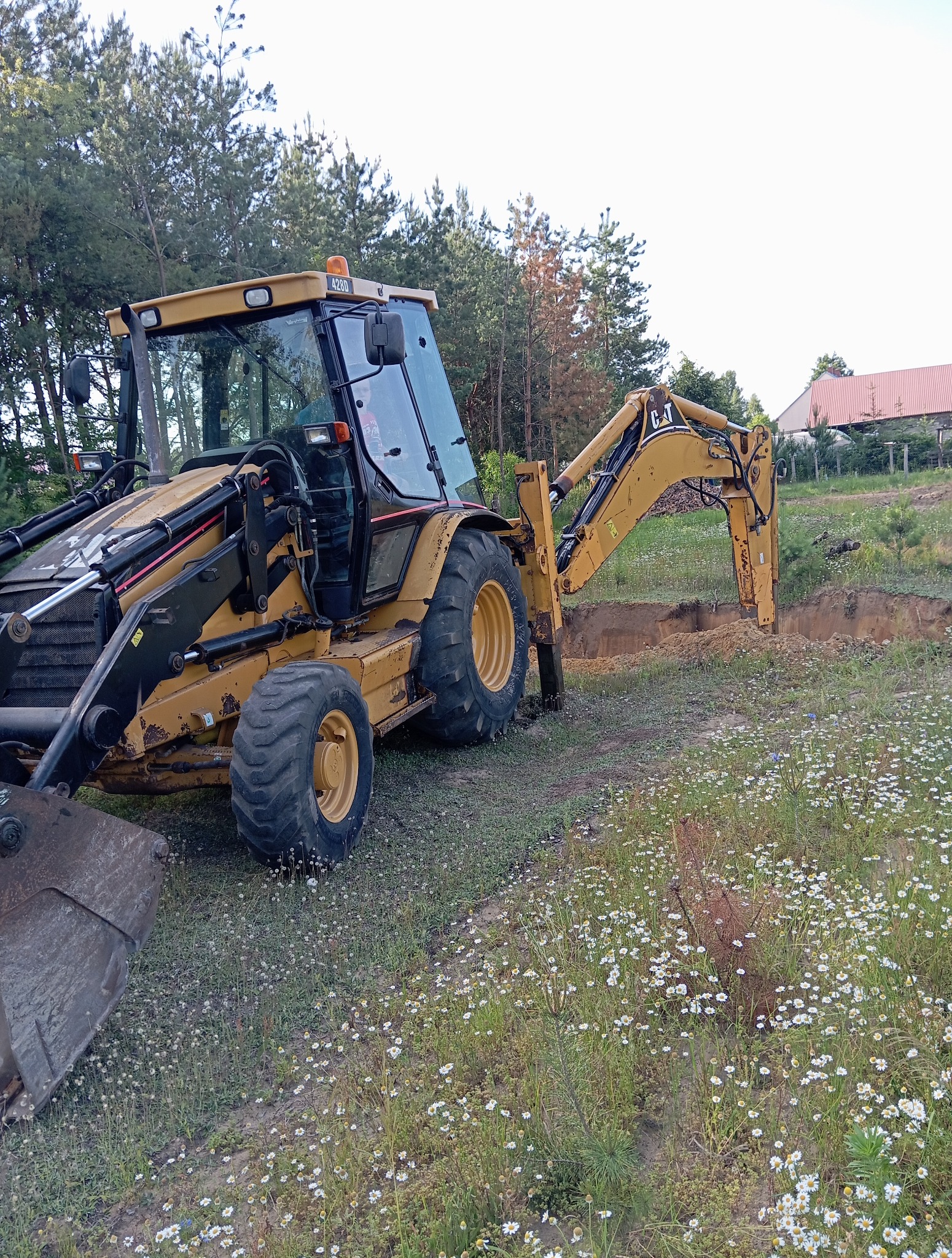 Żółta koparko-ładowarka CAT w trakcie pracy, wykonująca wykop w ziemi porośniętej rumiankiem, z widocznym lasem i budynkiem w tle.