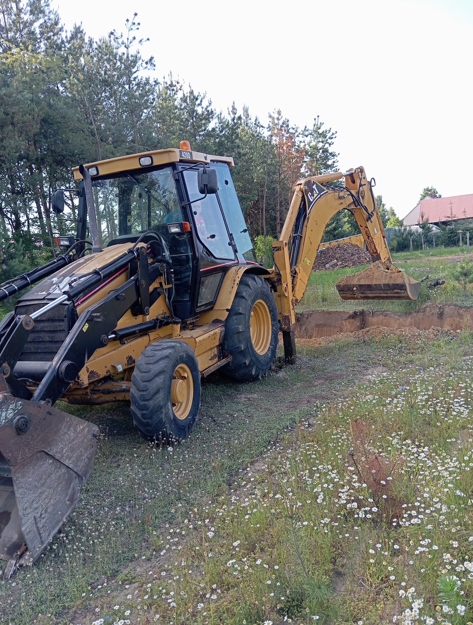 Żółta koparko-ładowarka CAT podczas prac ziemnych na łące z kwiatami, w tle drzewa i budynek. Widoczny wykop i nabrana ziemia w łyżce.