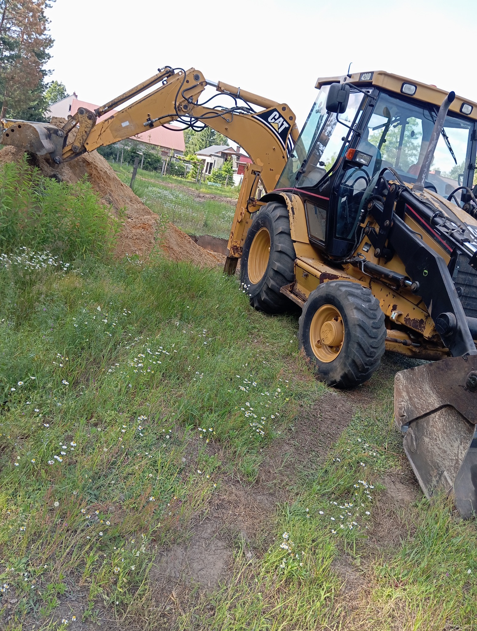 Żółta koparko-ładowarka CAT 428D podczas prac ziemnych, z widocznym wykopem w trawie z polnymi kwiatami. W tle domy mieszkalne i drzewa.