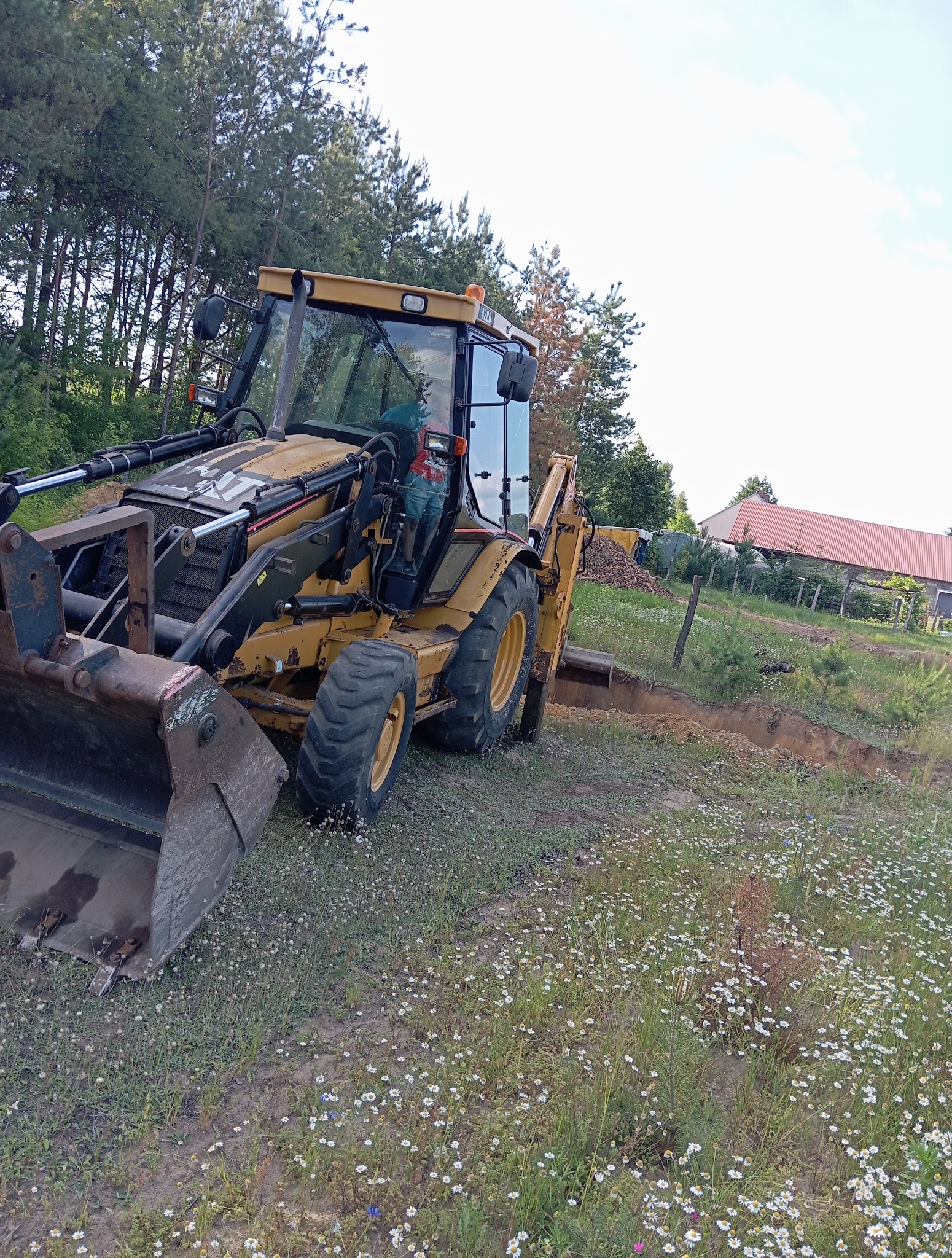 Żółta koparko-ładowarka CAT podczas wykopu rowu na działce z kwitnącymi stokrotkami, w tle las i dom z czerwonym dachem. Widoczne ślady użytkowania na maszynie.