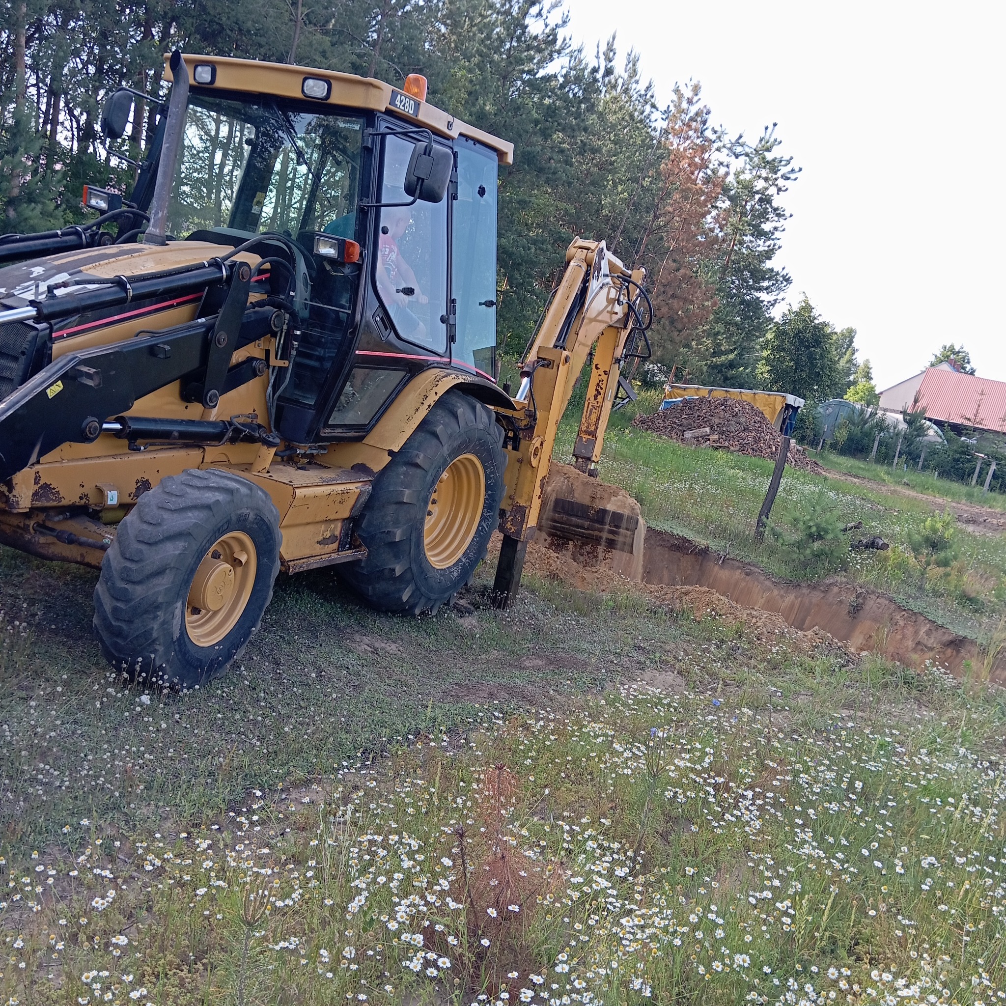 Żółta koparko-ładowarka podczas wykopu wąskiego rowu na zalesionym terenie, z polną roślinnością w pierwszym planie i budynkiem w tle. Model 428D.