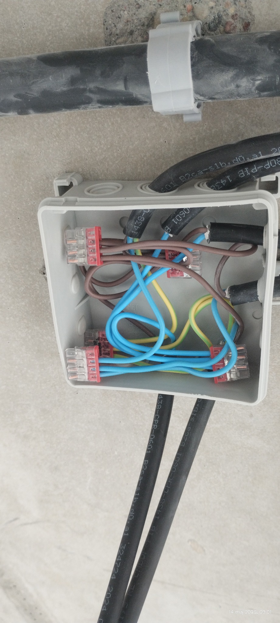 Szara puszka elektryczna z widocznymi przewodami (niebieskie, brązowe, żółto-zielone) połączonymi złączkami WAGO. Kable wchodzą i wychodzą z puszki.