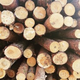 GLOBEX INVEST SPÓŁKA Z OGRANICZONĄ ODPOWIEDZIALNOŚCIĄ - Skład Drewna Chyliczki 