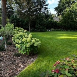 Zakładanie ogrodów Pruszków 2