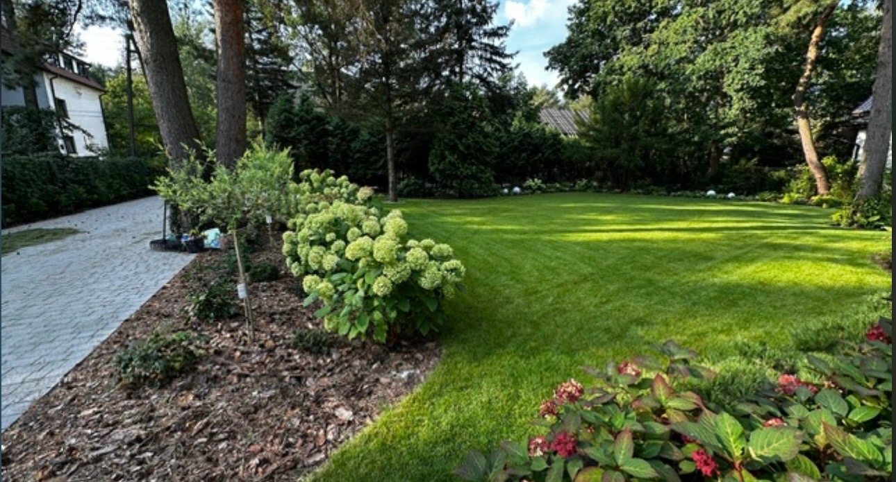 Zadbany ogród z równo przystrzyżonym trawnikiem, ozdobnymi krzewami i drzewami. Widoczny fragment domu i ścieżka z kostki brukowej.