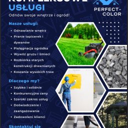 Perfect-Color - Najlepsza Wycinka Drzew w Pajęcznie
