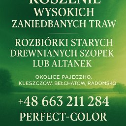 Sadzenie drzew i krzewów Pajęczno