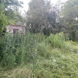 Perfect-Color - Zarośnięty ogród z wysoką trawą i chwastami, zaniedbany teren z widoczną starą, ceglaną budowlą w tle, częściowo zasłoniętą przez roślinność.