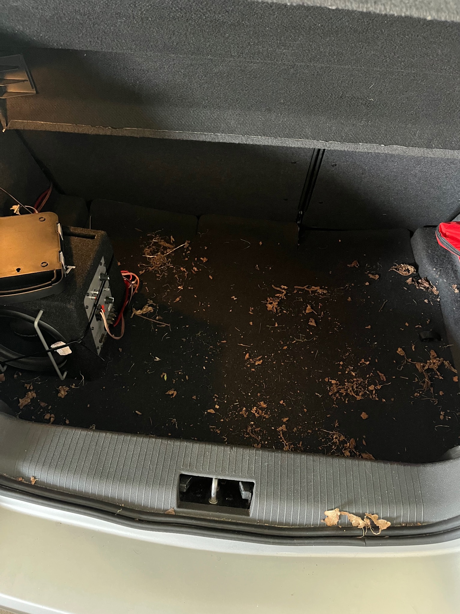 Bagażnik samochodu z subwooferem i rozrzuconymi liśćmi, widok z góry. Wnętrze pojazdu wymaga czyszczenia.
