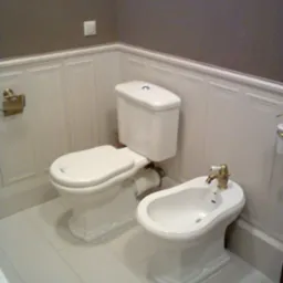 Biała toaleta i bidet w klasycznej łazience z panelami ściennymi i szarą tapetą. Złota armatura i akcesoria dodają elegancji. Widok z przodu, oświetlenie naturalne.