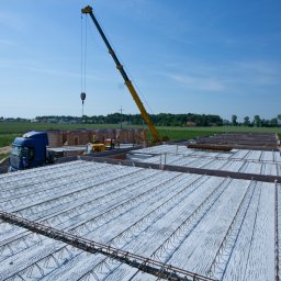 TEST-POL MARDEUSZ I ŻAK SPÓŁKA JAWNA - Strop Vector