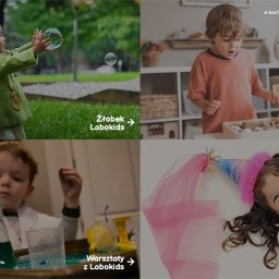 Tworzenie stron internetowych Poznań 4